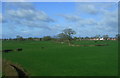 Fields west of Tilstock