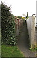 Narrow public footpath in Bassaleg