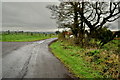 H6058 : Tullylinton Road, Tullylinton by Kenneth  Allen