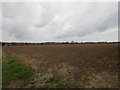 Looking North across arable field