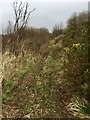 Disused railway track