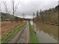 Wide section of Huddersfield Narrow Canal