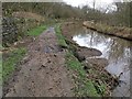 Damage to towpath on Huddersfield Narrow Canal