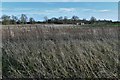 Gateley: Farmland