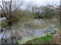 Pond by Black Gate Lane