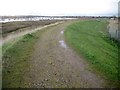 Brightlingsea Creek: Sea defence embankment at Point Clear