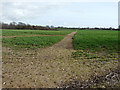 Footpath across a field