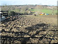 Muddy field at Frith Manor