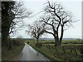 The lane from Barden