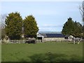 Horses at East Farm, High Mickley