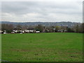 Grazing off Ley Lane