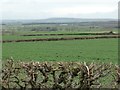 SE1689 : Hedged fields, near Scrogg House Farm by Christine Johnstone