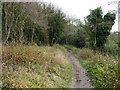 Path, Walton Downs