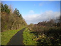 Footpath towards Hill Top, West Bromwich