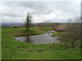 Pond off Ernocroft Lane