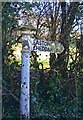 Direction Sign - Signpost west of Wookey Hole