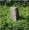 Turnpike Terminus Marker by the A379 at Red Lodge & Blackheath Farm crossroads