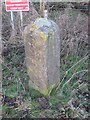 NY7615 : Old Boundary Marker by the A66 lay-by, Warcop parish by Milestone Society