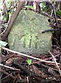 Old Milestone (Parole stone), West of Hele Cross