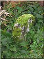 NY7810 : Old Boundary Marker by Mill Beck, Winton by M Rayner