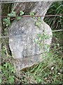 Old Boundary Marker near Holbury, Fawley parish