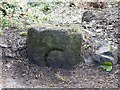 Old Bridge Marker by Plymbridge Road, Plymouth parish