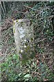 Old Boundary Marker by the B3215, Glendon Cross