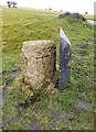 Old Boundary Marker on Green Lane between Tavistock and Whitchurch parishes