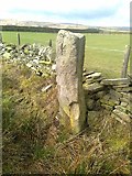SE0515 : Old Boundary Marker off the A640, New Hey Road, Worts Hill by Milestone Society