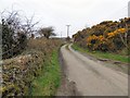 Lane passing Garreg Fawr