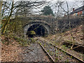 Stockton Brook Tunnel