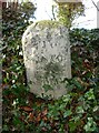 Old Milestone by the A33, near Park Hill Farm, Micheldever