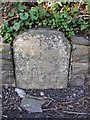 Old Milestone by the A40, south east of Blaenos