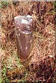 Old Milestone near Glenree, Kilmory parish, Arran