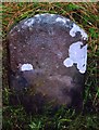 Old Milestone by the B934, Balquhandy Forest, Dunning