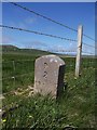 Old Milestone by the B9067, south of Pierowall