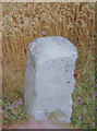 Old Milestone by the A258, Deal Road, Worth