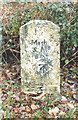 Old Milestone by the A487, south of Corris