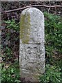 Old Milestone by the B1383, Stansted Road, Bishop