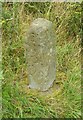 NZ8108 : Old Wayside Cross by the A171, Lady Cross, Egton parish by Alan Rosevear