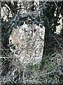 Old Milestone by Wonastow Road, southwest of Monmouth