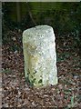 Old Milestone by the B2070, London Road, Highfield Wood