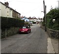 Mirror in a Pentre-Poeth Road hedge, Bassaleg