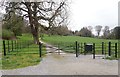 Path leading from Derrymore House to the North Lodge