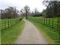 Path South towards Derrymore House