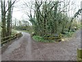 Bridge over River Ken and road to Wressing