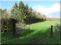 Field entrance near Dingle Farm