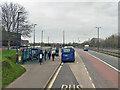 Gatwick South Terminal bus stop, A23 northbound