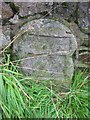 Old Milestone by the B6357, west of Canonbie Bridge