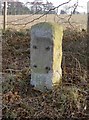 Old Milestone, B3404, No Man?s Land, Chilcomb Parish